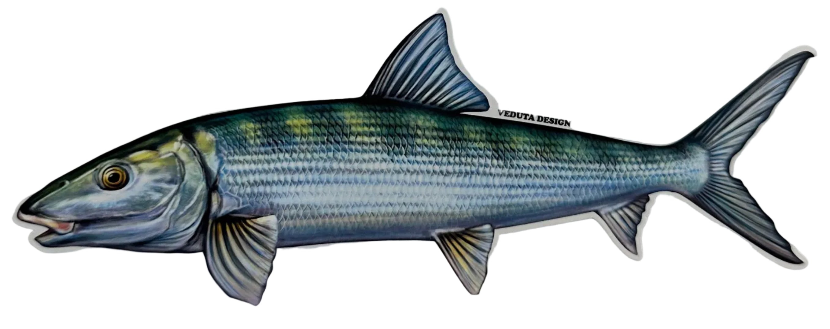 Large Saltwater Bonefish Fishing Sticker for Boats, Coolers & Outdoor Gear