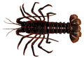 Saltwater Lobster Fishing Sticker for Boats, Coolers & Outdoor Gear