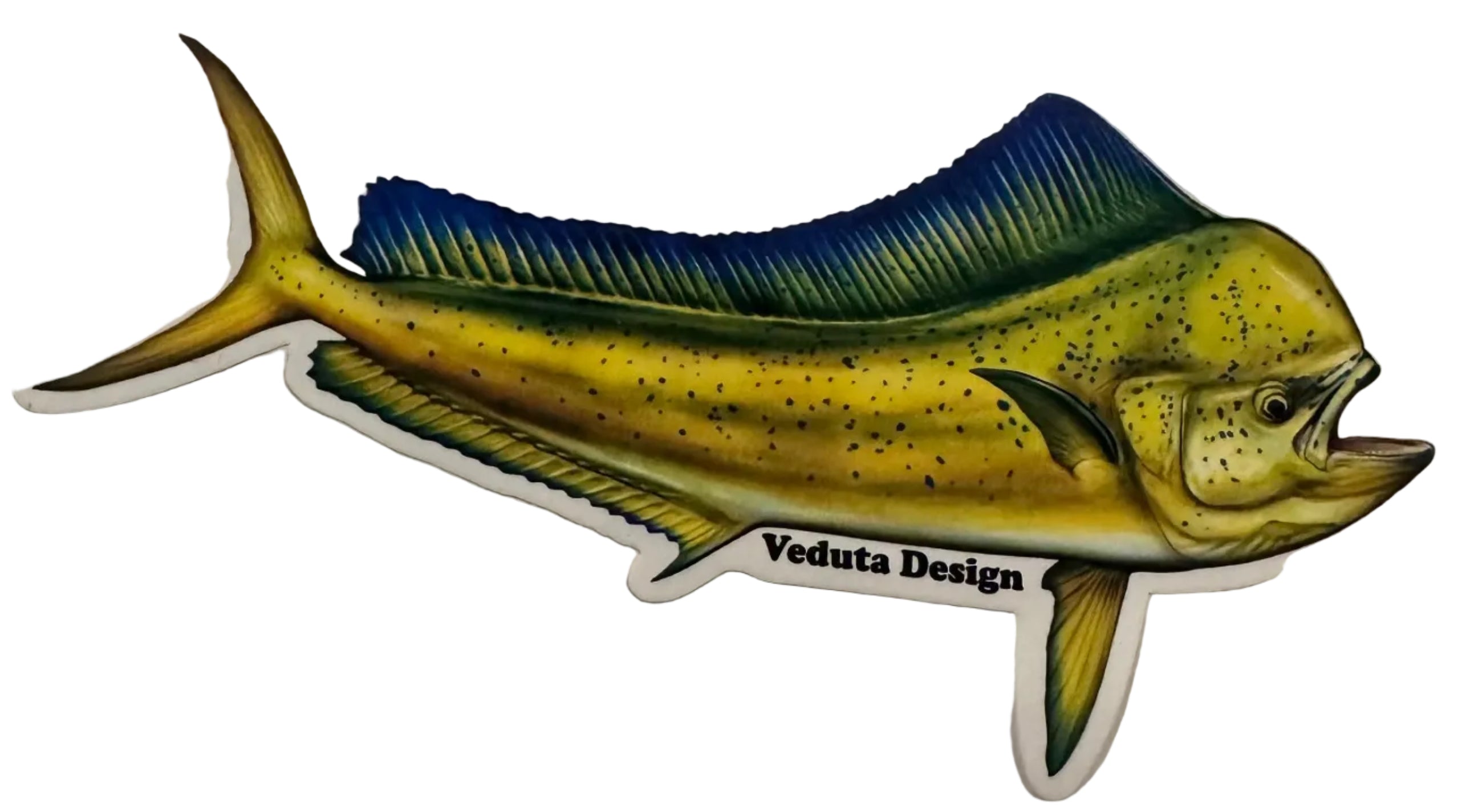 Saltwater Mahi-Mahi Fishing Sticker for Boats, Coolers & Outdoor Gear