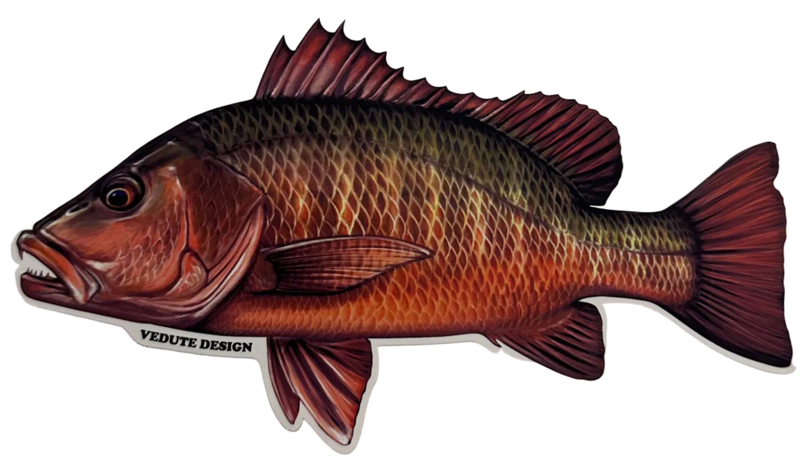 Large Saltwater Mangrove Snapper Fishing Sticker for Boats, Coolers & Outdoor Gear