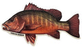 Saltwater Mangrove Snapper Fishing Sticker for Boats, Coolers & Outdoor Gear