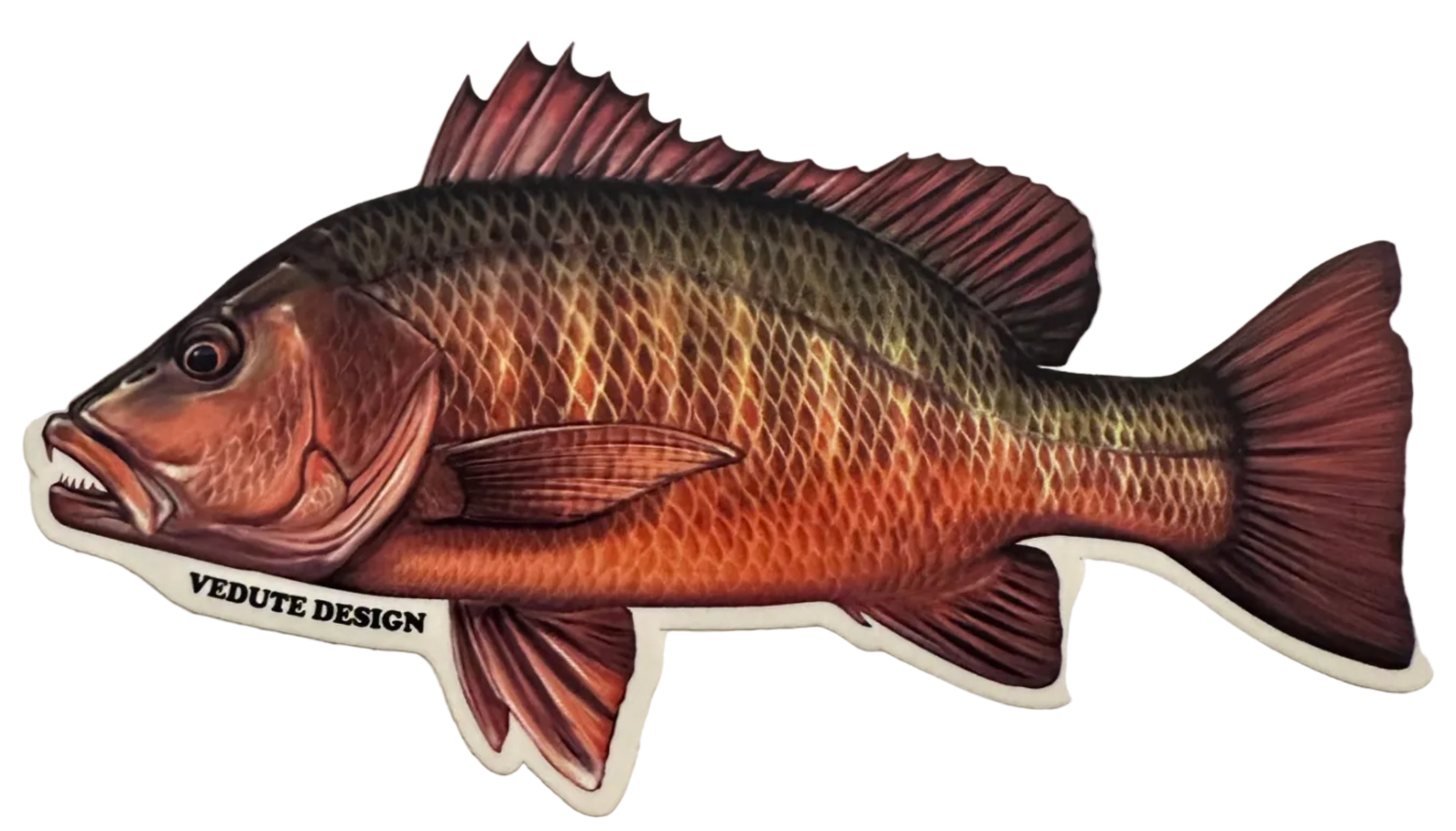 Saltwater Mangrove Snapper Fishing Sticker for Boats, Coolers & Outdoor Gear