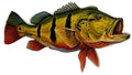 Large Freshwater Peacock Bass Fishing Sticker for Boats, Coolers & Outdoor Gear