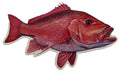 Saltwater Red Snapper Fishing Sticker for Boats, Coolers & Outdoor Gear