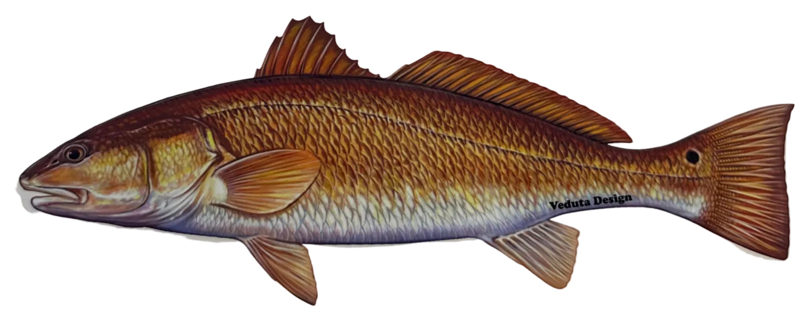 Large Saltwater Redfish Fishing Sticker for Boats, Coolers & Outdoor Gear