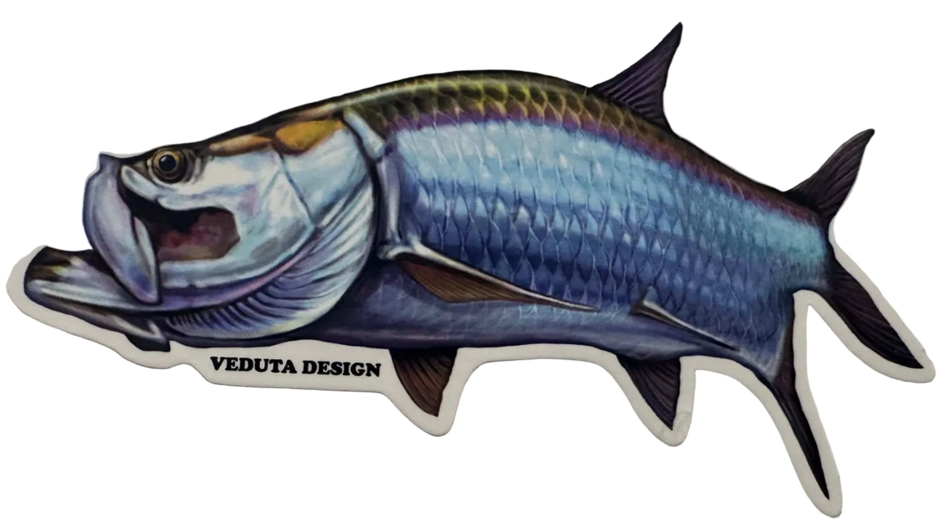Saltwater Tarpon Fishing Sticker for Boats, Coolers & Outdoor Gear