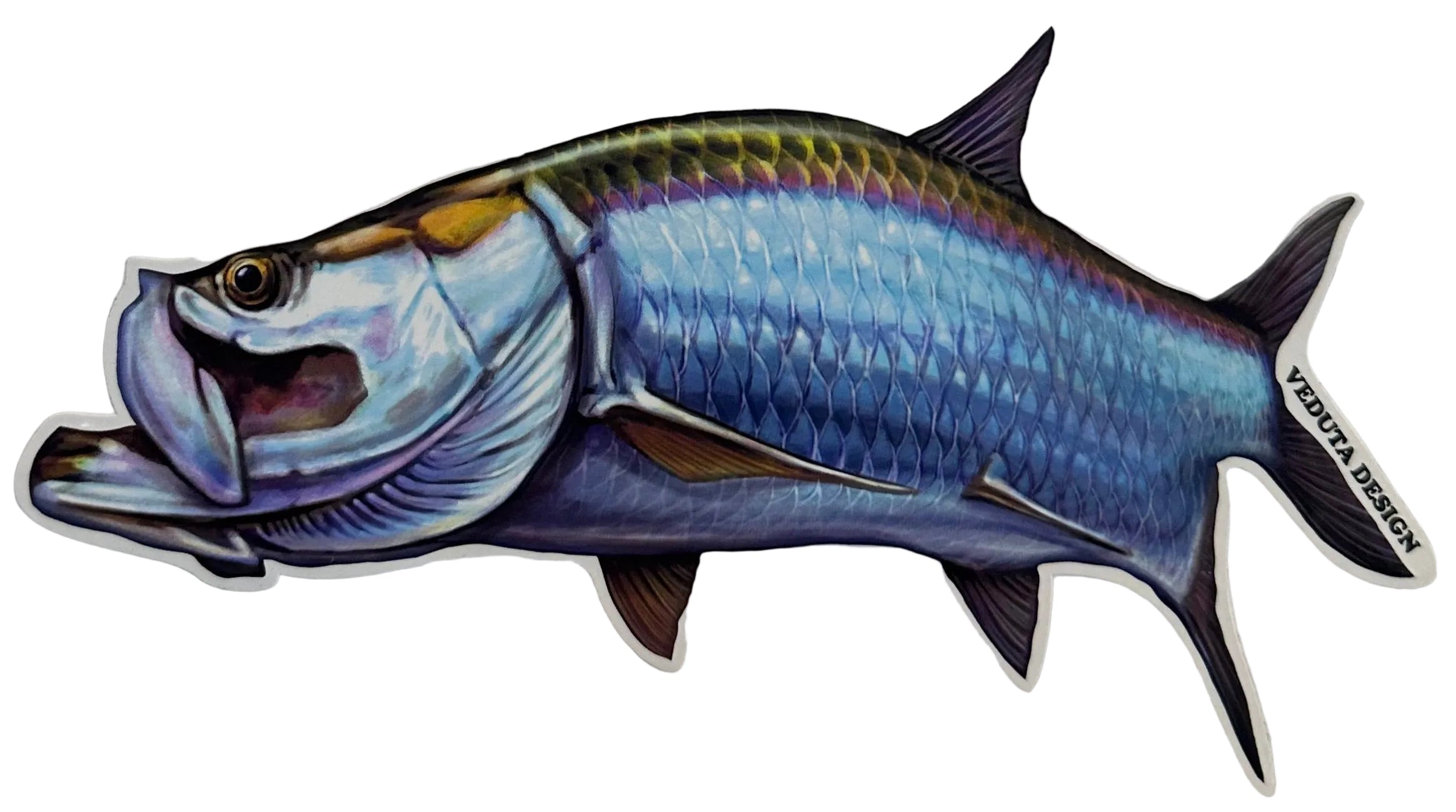 Large Saltwater Tarpon Fishing Sticker for Boats, Coolers & Outdoor Gear