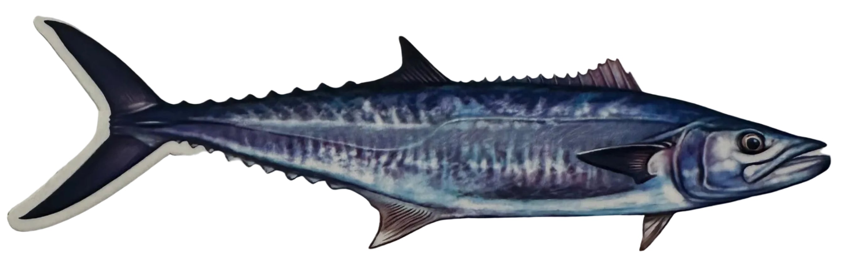 Saltwater Wahoo Fishing Sticker for Boats, Coolers & Outdoor Gear