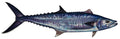 Large Saltwater Wahoo Fishing Sticker for Boats, Coolers & Outdoor Gear