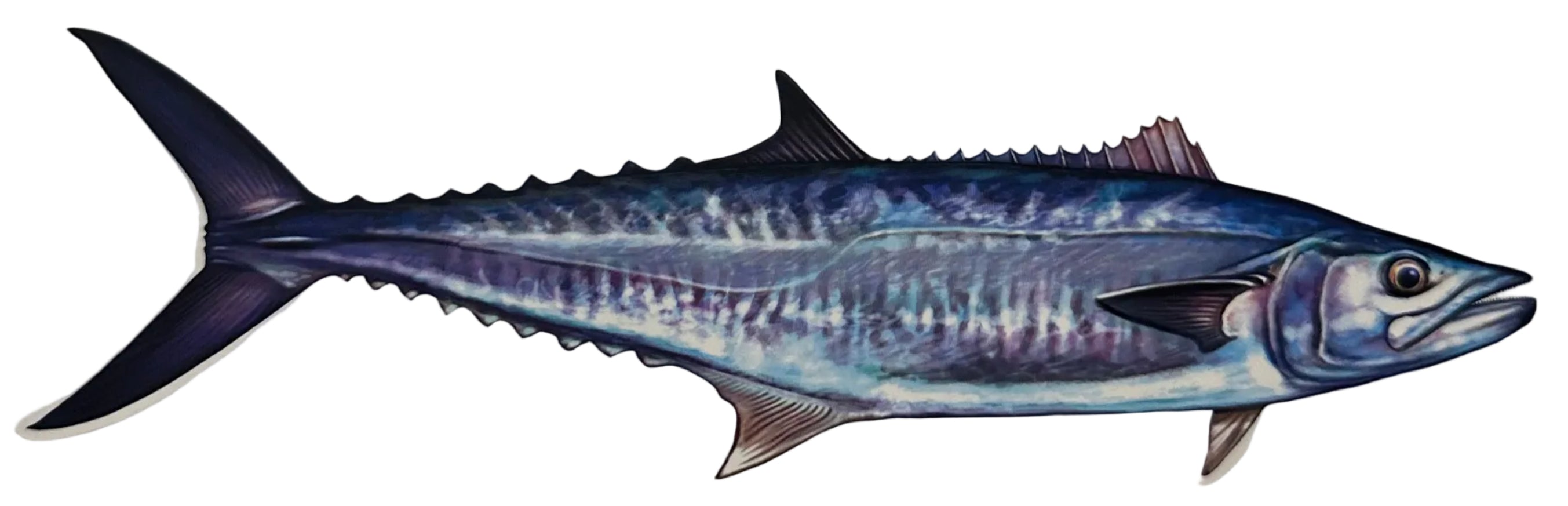 Large Saltwater Wahoo Fishing Sticker for Boats, Coolers & Outdoor Gear
