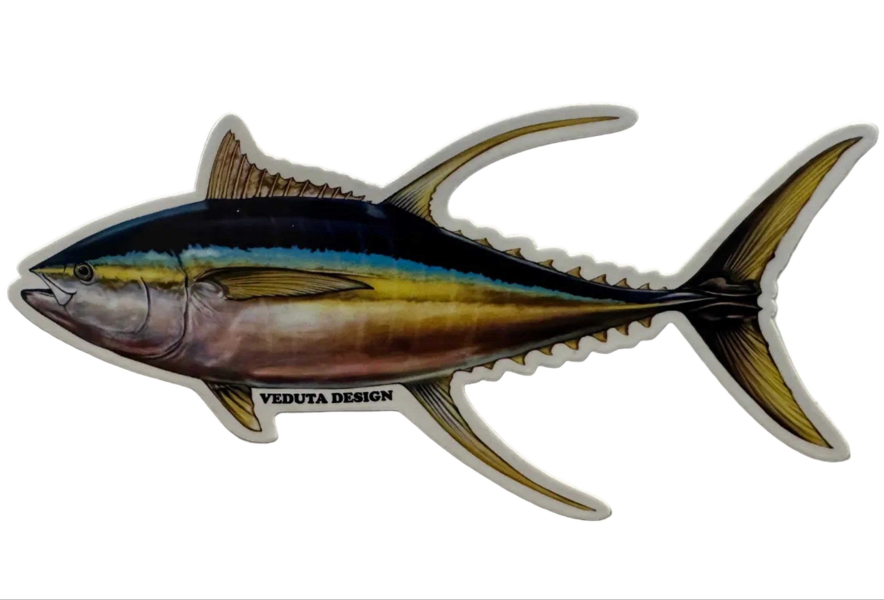 Colorful yellowfin tuna fish illustration with 'Veduta Design' branding on a white background